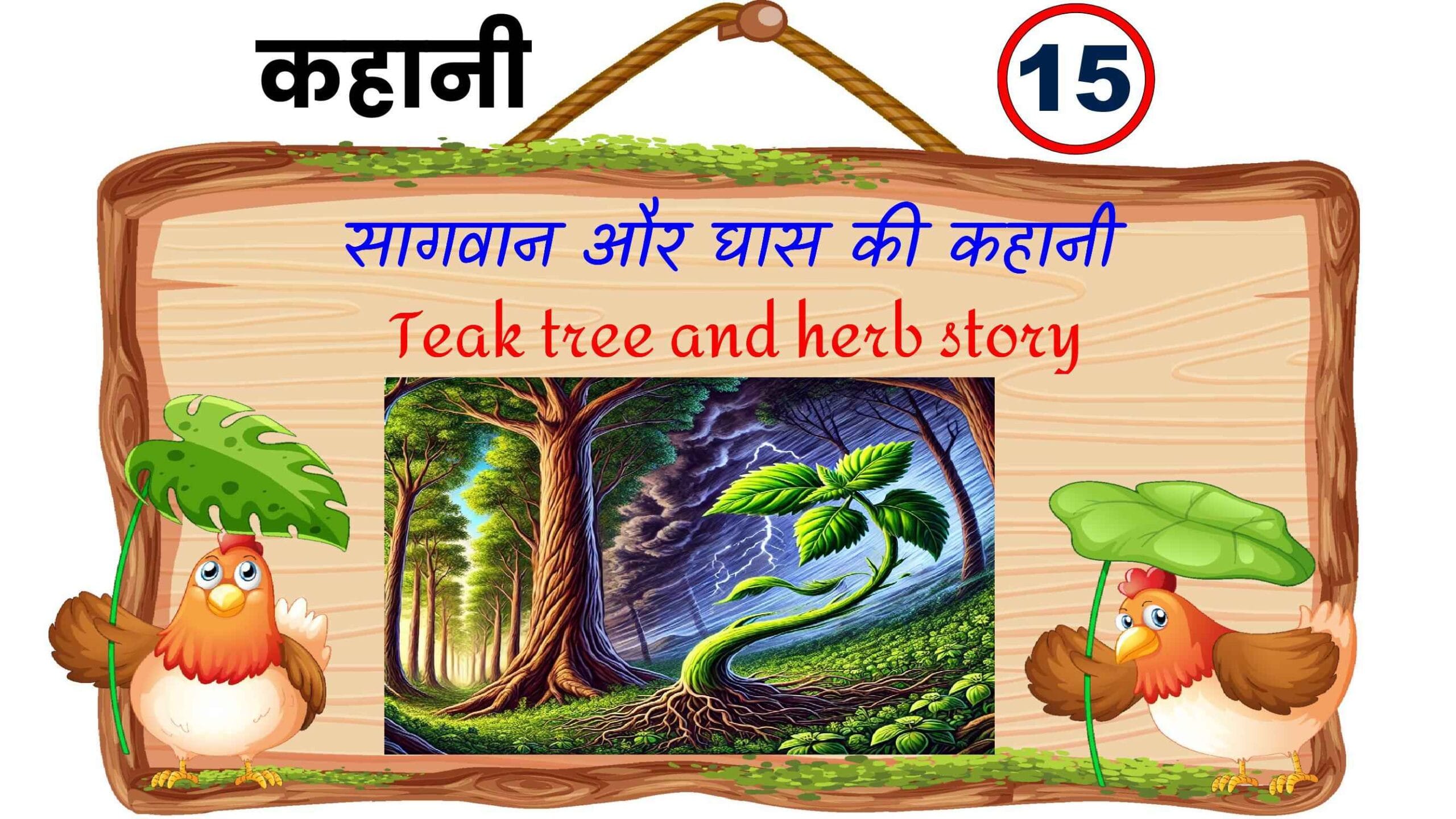 Teak tree and herb during storm emphasizing pride and humility