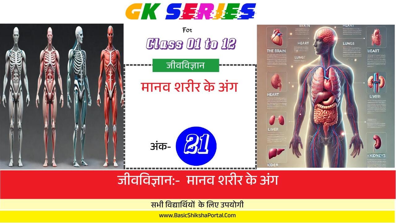 Structure and Functions of Human Body Organs